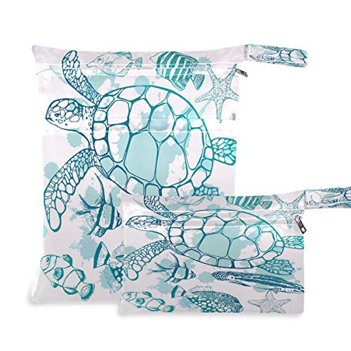 Sea Turtle Starfish