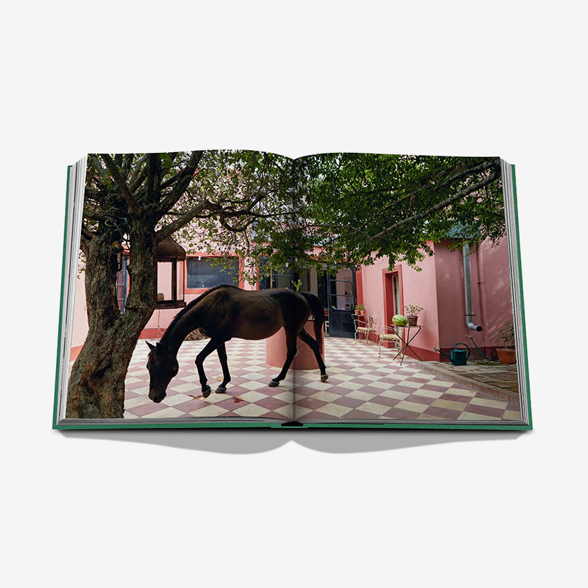 Assouline Luxury Travel Book | Punta Del Este Travel Guide - Perfect for Coffee Table Decor & Travel Inspiration