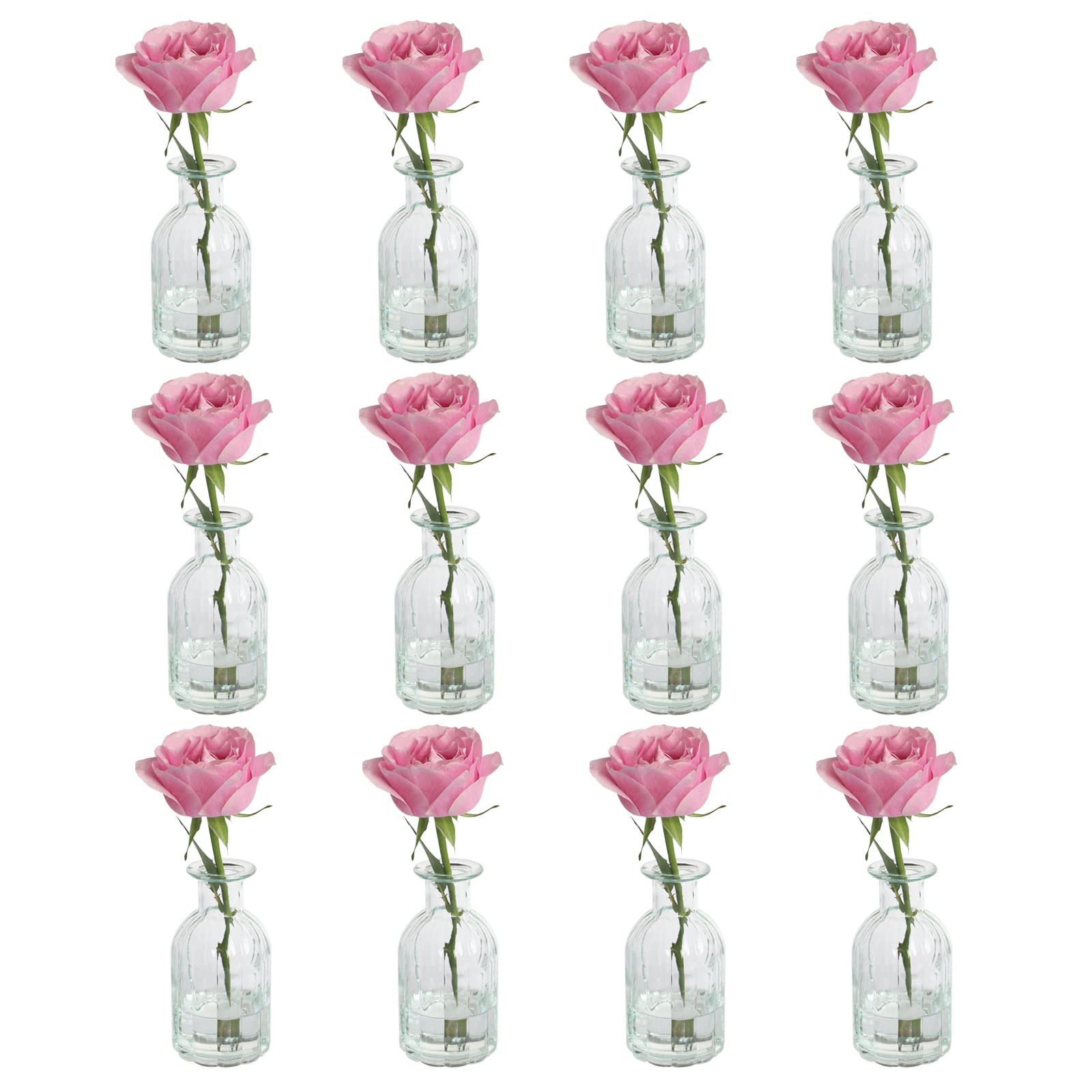 12-Piece Clear Glass Bud Vases Set - 2.85