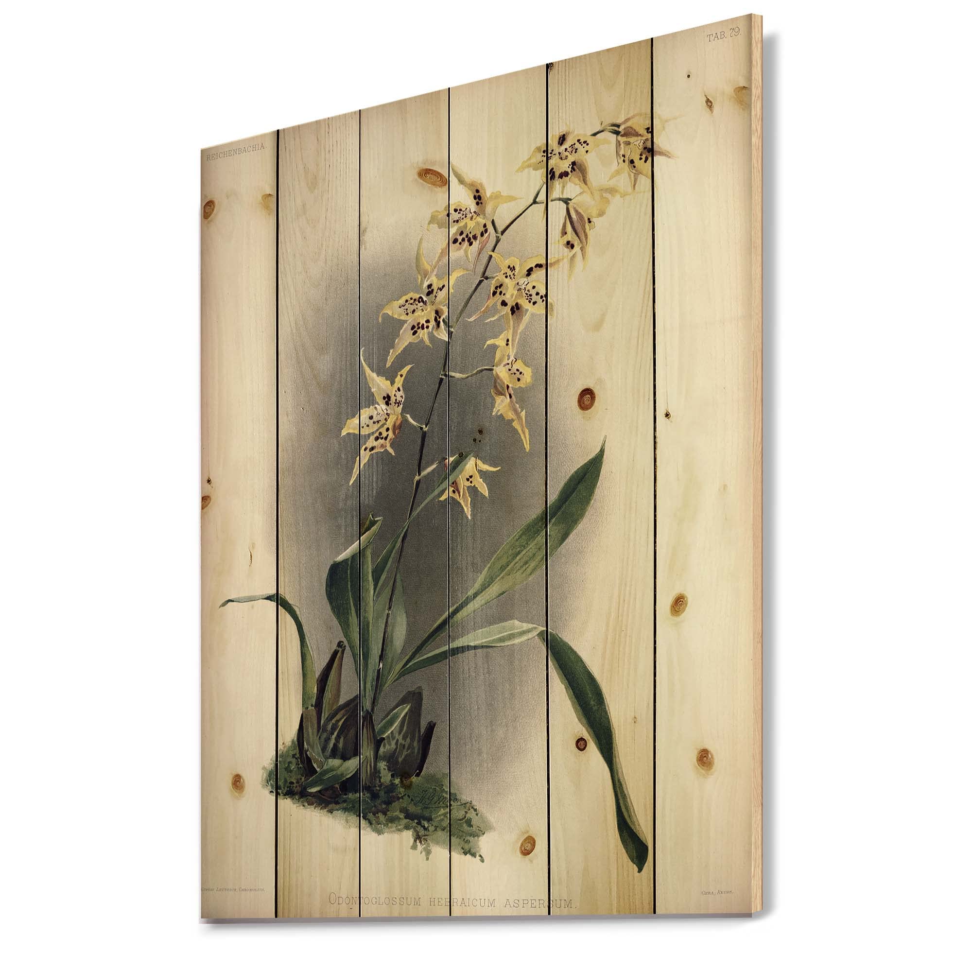 Vintage Orchid Flower Wood Wall Decor - Traditional Green Floral Wood Art Panel - Large Pine Wood Wall Hanging for Living Room, Bedroom & Office Decor
