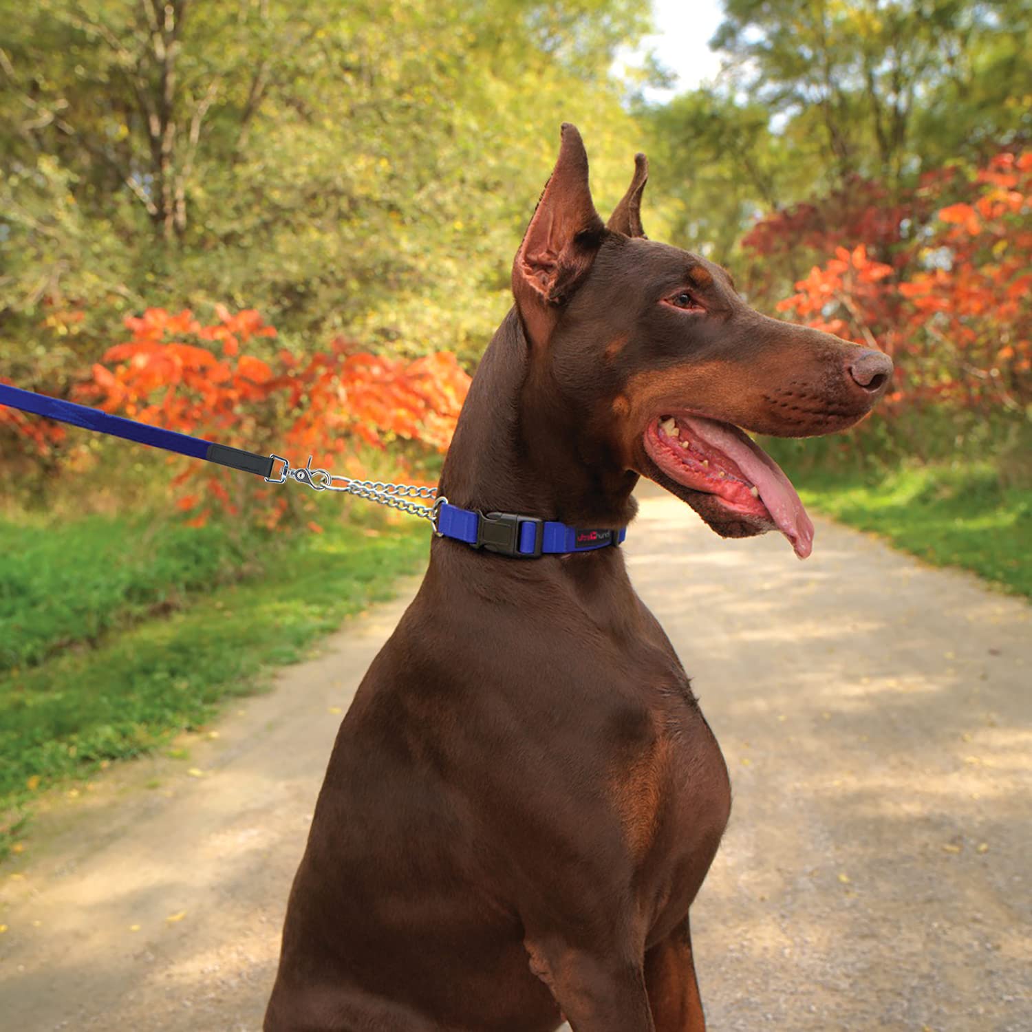 Ultrahund 'Play' Martingale Dog Collar - Adjustable 18