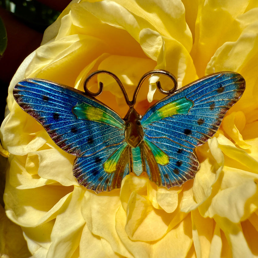 Vintage Gold Washed Guilloched Enamel Butterfly Brooch Pin - S925 Sterling Silver Jewelry for Women - Perfect for Weddings, Parties & Gift Giving