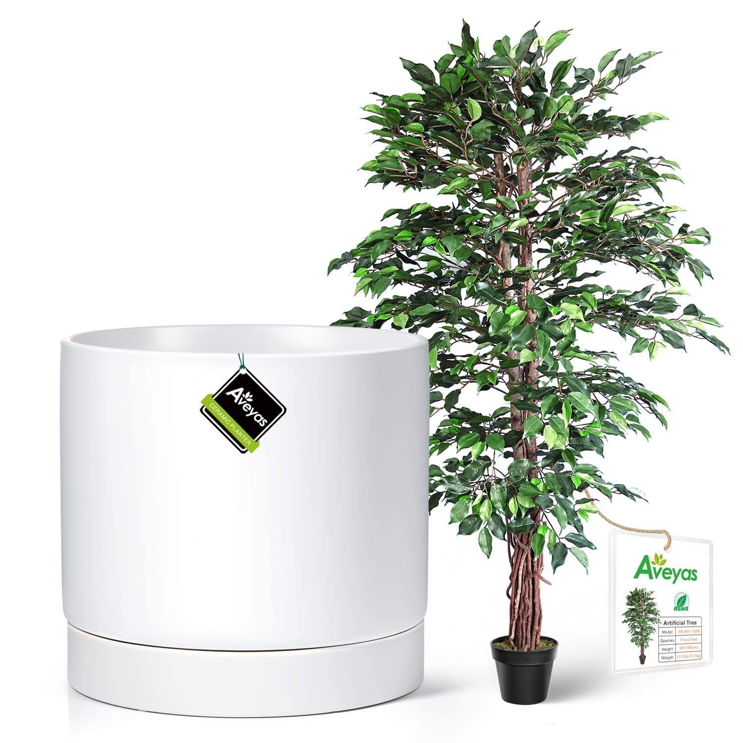 10 Inch Ceramic Planter Pot with 6ft Faux Ficus Tree - Modern Matte White Indoor Plant Set for Home Decor, Office, Living Room & Bedroom