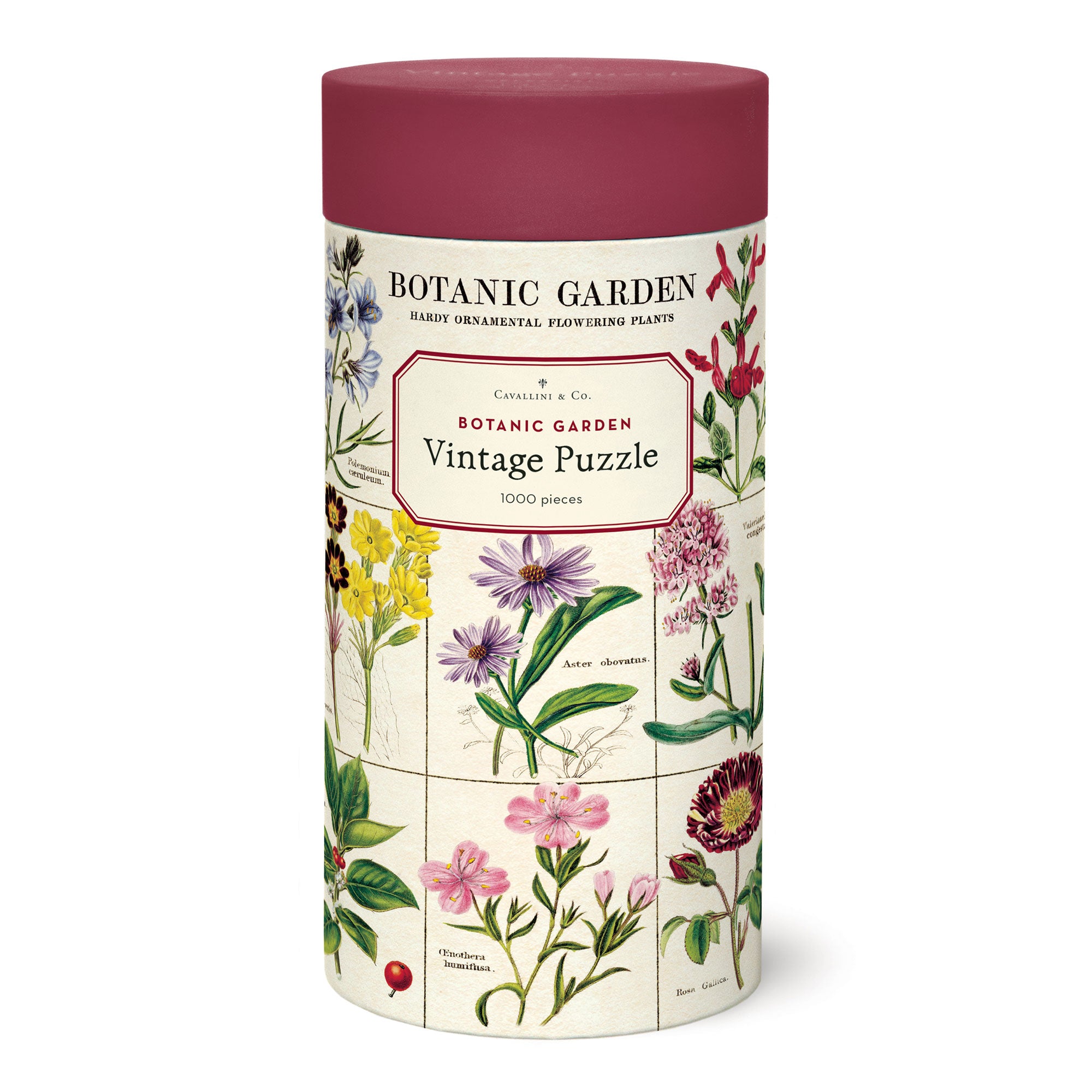 1,000 Piece Vintage Botanic Garden Jigsaw Puzzle - Beautiful Floral Landscape for Adults & Teens - Perfect for Relaxation, Family Bonding & Home Decor