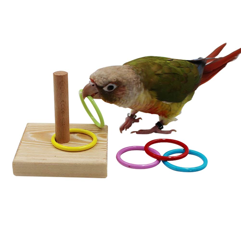 QBLEEV Bird Training Ring Toy - Interactive Parrot Trick Tabletop Toys for Mental Stimulation | Educational Stacking Color Rings for Birds | Cage Accessories for Parakeets, Cockatiels & Lovebirds - Perfect for Training, Play & Enrichment Activities
