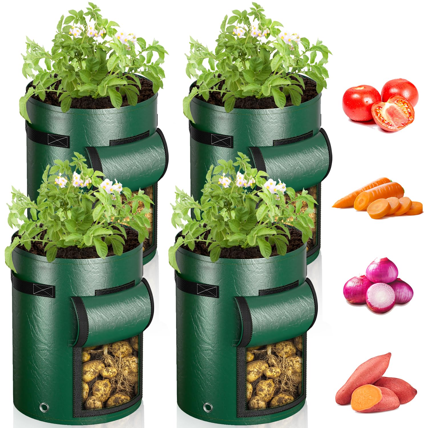 10 Gallon Potato Grow Bags 4 Pack - Breathable Fabric Plant Bags with Viewing Window & Drainage Holes - Ideal for Growing Potatoes, Carrots, Onions, Tomatoes - Perfect for Home Gardening, Balcony Planting & Urban Farming (Green)