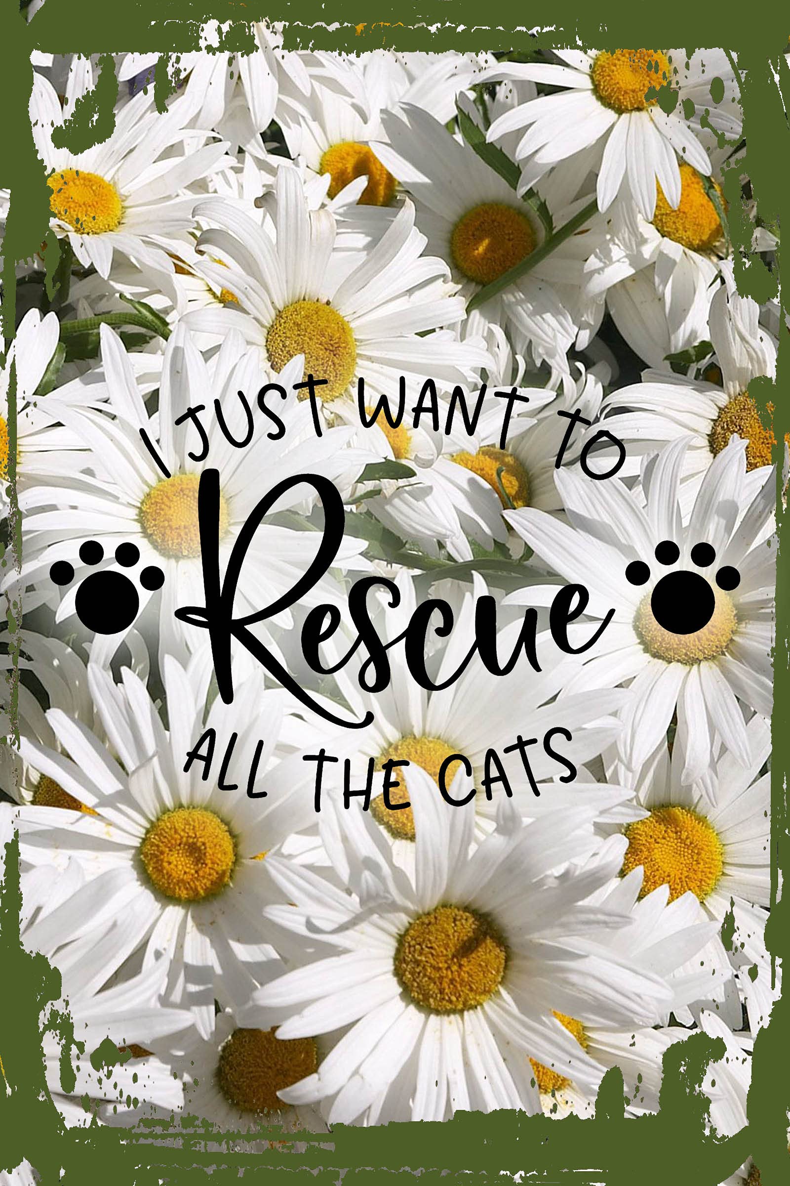 Funny Daisy Flower Wall Art with Cat Paw Prints - 8x12 Inch Humorous Hanging Sign for Cat Lovers, Perfect for Home Decor & Gift Giving - Ideal for Living Room, Bedroom or Office