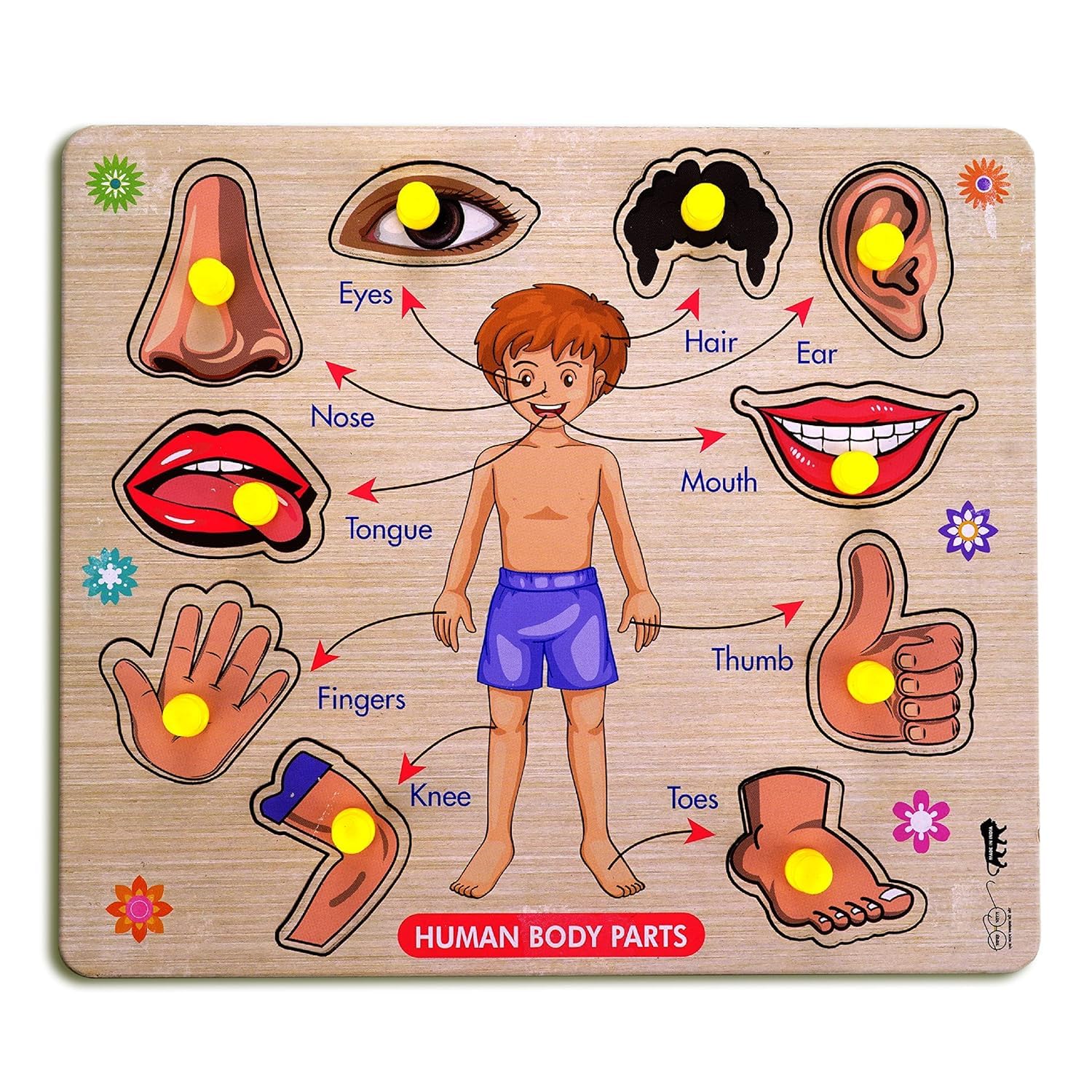 RiansCart Human Body Parts Wooden Jigsaw Puzzle - Educational Anatomy Learning Toy for Kids & Toddlers | Preschool STEM Activity, Classroom Teaching Aid & Homeschool Science Kit