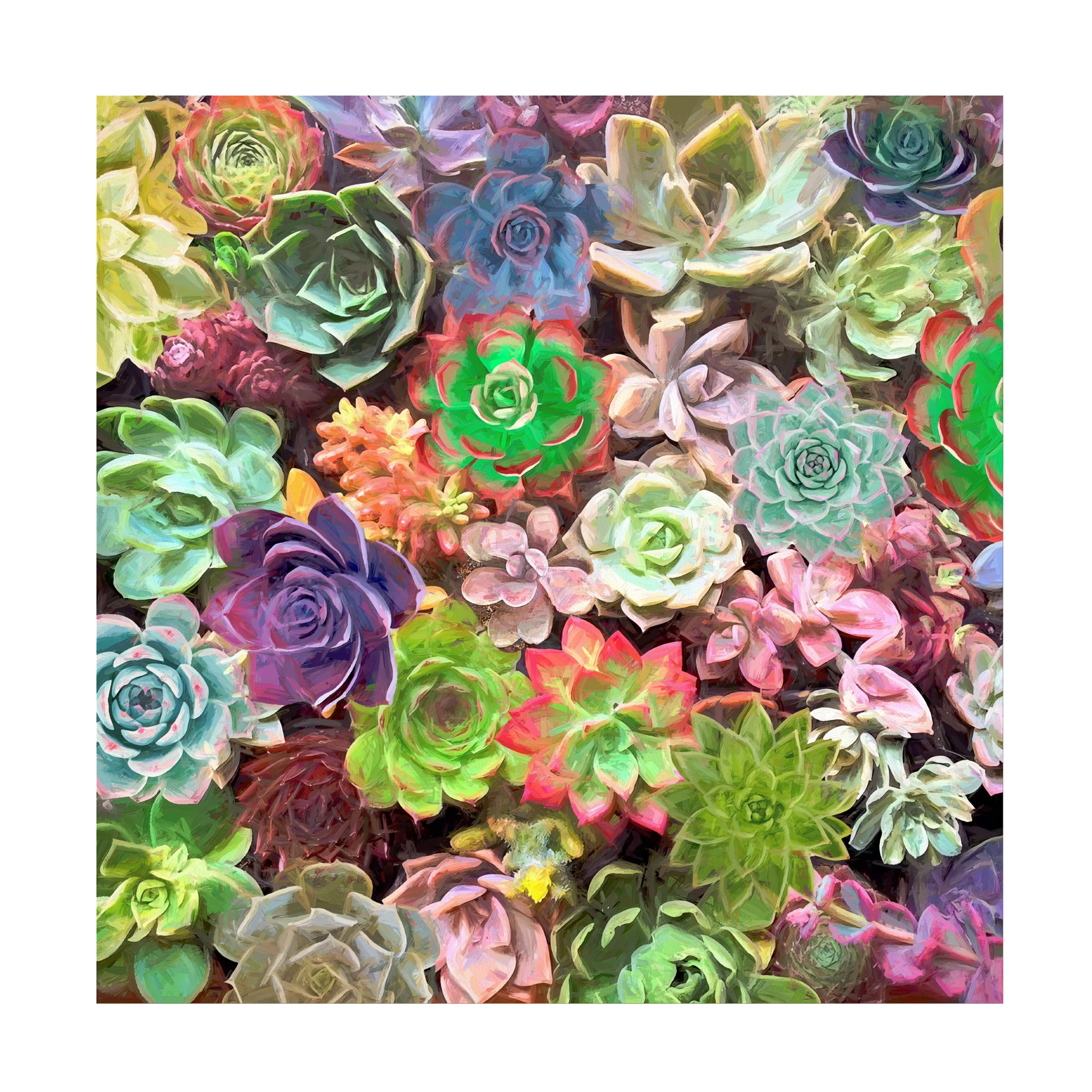 Trademark Fine Art 'Little Succulent Garden II' Canvas Wall Art by Cora Niele - Perfect for Home Decor, Office & Living Room Aesthetic