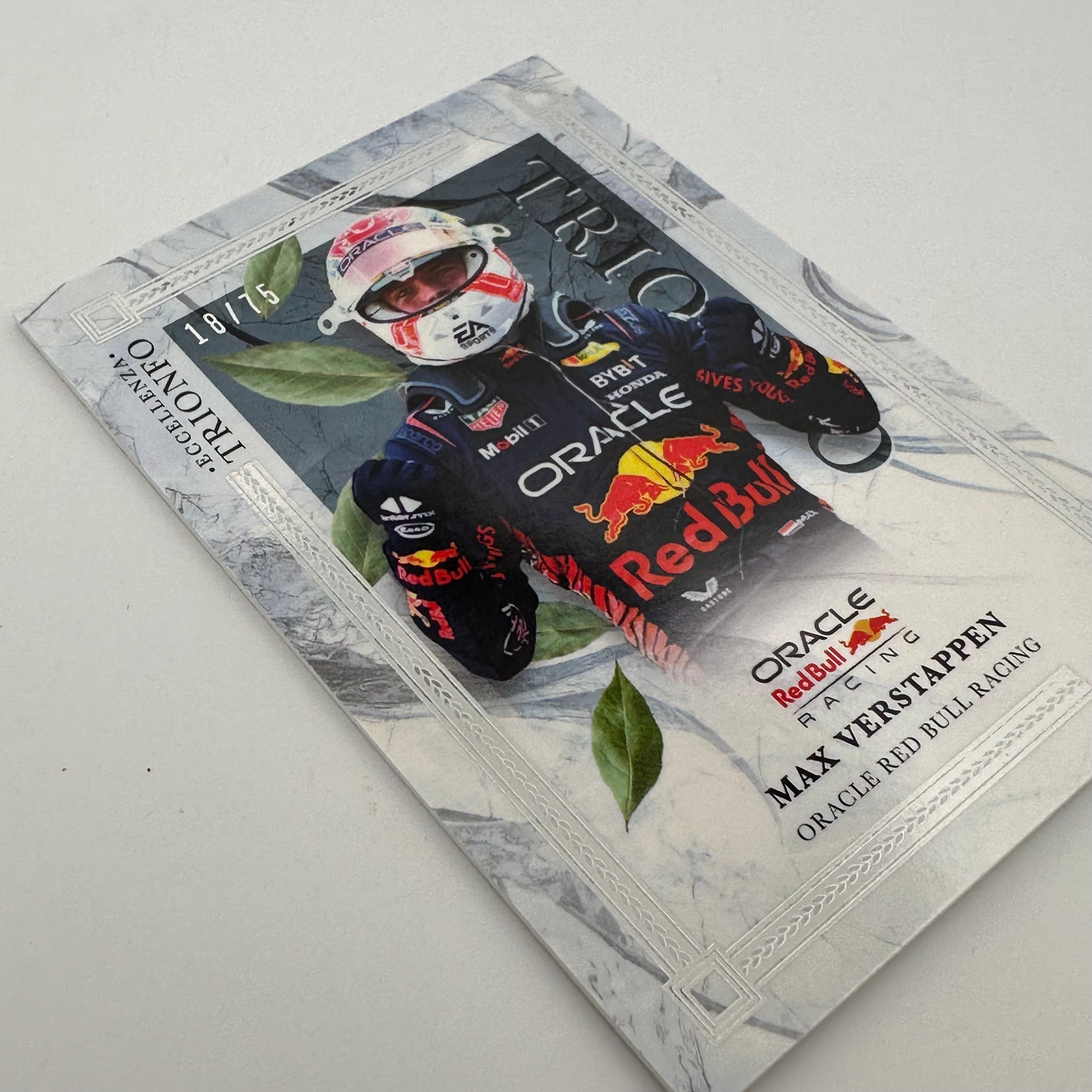 2023 Max Verstappen Eccellenza Trionfo 18/75 Silver Collectible Coin - Perfect for F1 Racing Fans, Sports Memorabilia Collections, and Gift Giving