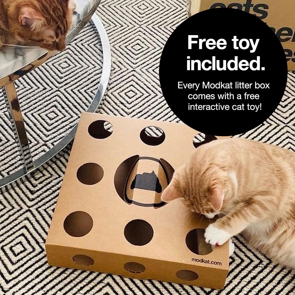 Modkat XL Litter Box - Extra Large Covered Cat Litter Box with Top & Front Entry - Reusable Liners & Tall Base for Less Mess - Easy to Clean Gray - Perfect for Large Cats & Multi-Cat Homes