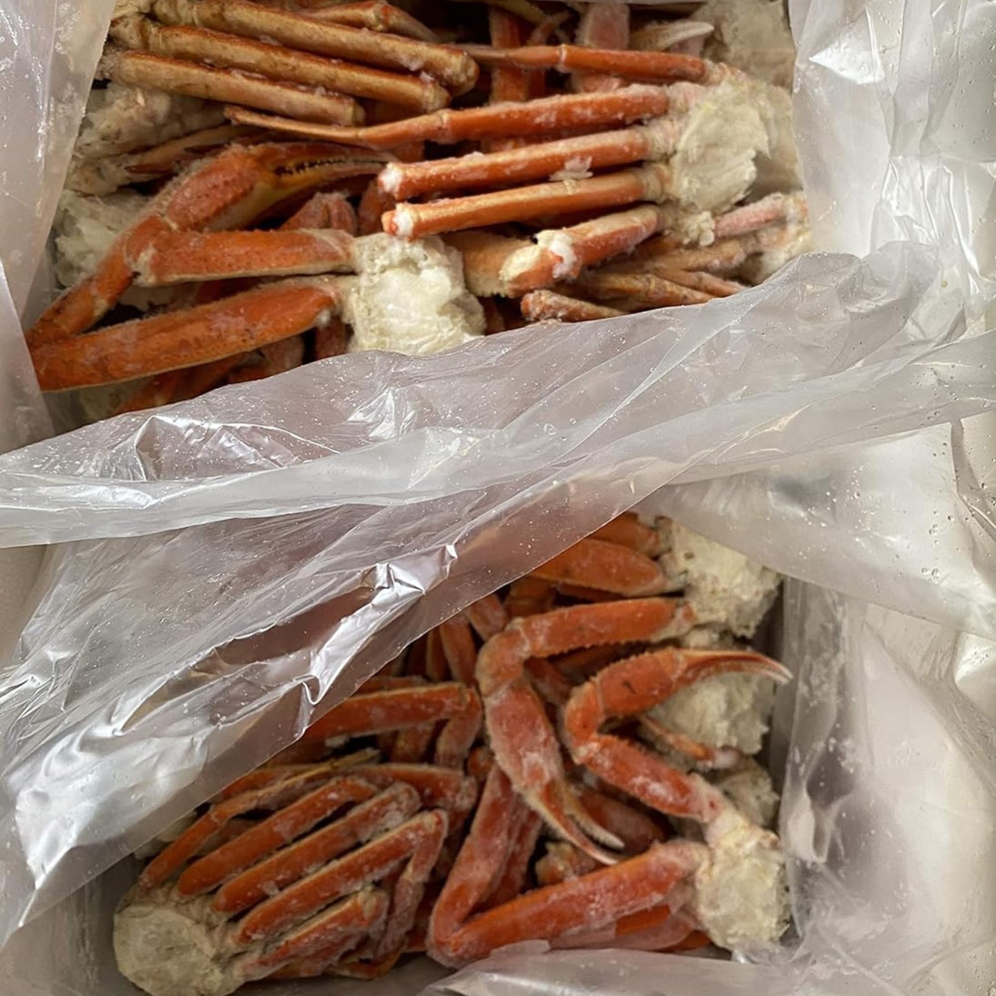 Premium Snow Crab Legs Clusters (8oz-10oz per Cluster, 20lbs Bulk) – Today Gourmet Foods of NC – Fresh & Delicious for Seafood Feasts, Family Gatherings & Gourmet Cooking