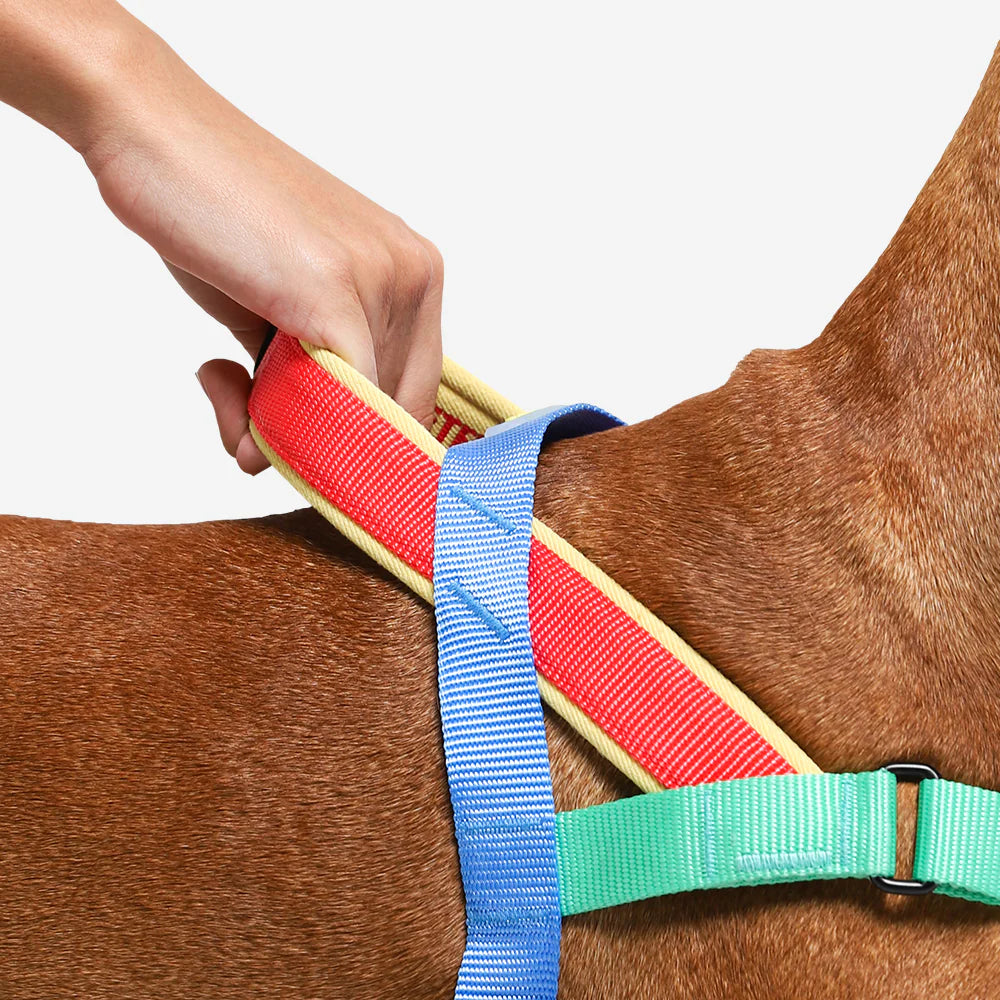 Zee.Dog Mellow Softer Walk No-Pull Dog Harness - Comfortable & Adjustable Pet Harness for Small, Medium & Large Dogs - Perfect for Walking, Training & Outdoor Adventures