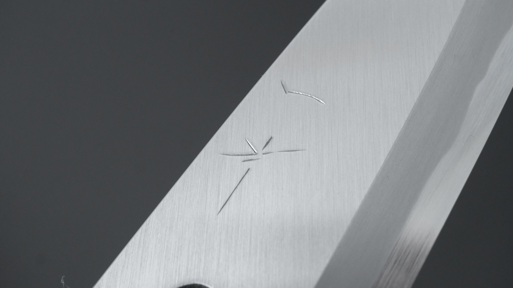 Hitohira Togashi White #2 Deba Knife 120mm - Japanese Chef Knife with Ho Wood Handle (D-Shape & Saya Included) - Perfect for Sushi, Filleting Fish & Precision Cutting