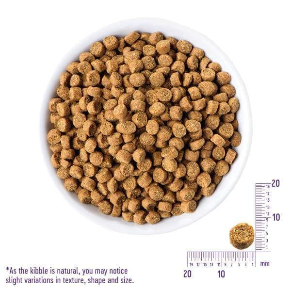 Wellness CORE Grain Free Puppy Formula Dry Dog Food - Natural High Protein Puppy Food for Small & Large Breeds (5lb, 12lb, 24lb) - Supports Healthy Growth & Digestion for Active Puppies at Home or Outdoor Adventures
