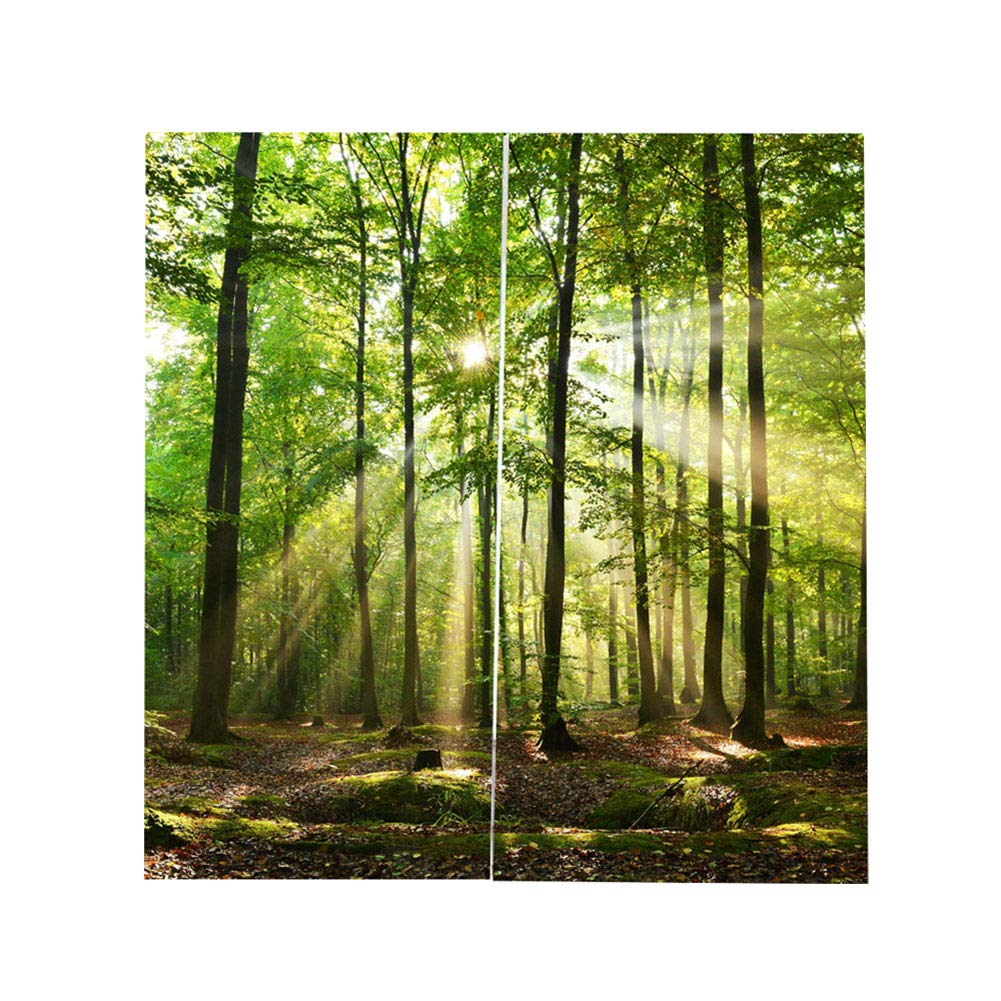 Sunlight Filtering Printed Curtains for Balcony, Bedroom & Living Room - 67x79 Inch Window Decor with Nature Forest Design | Perfect for Privacy, Light Control & Home Aesthetics