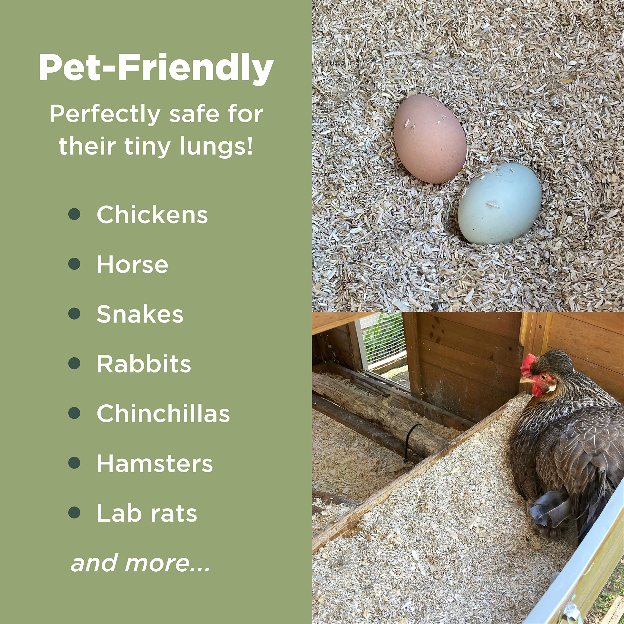 Premium 8 Lbs Natural Hemp Bedding for Chickens, Horses, Rabbits & Small Pets | Super Absorbent, Dust-Free, Eco-Friendly Animal Bedding | USA Grown, Carbon Negative | Ideal for Coops, Cages & Pet Litter Boxes