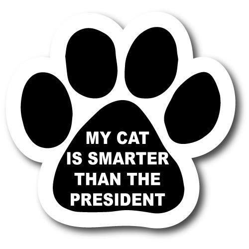 Cat-smart