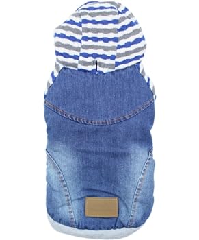 Denim Striped Hoodie Blue