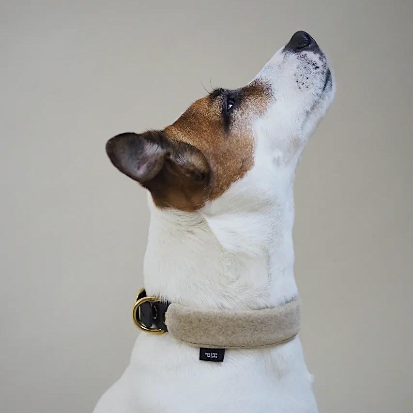 Premium Biothane Dog Collar with Pony Mascarpony Design - Durable, Waterproof & Adjustable Pet Collar for Small, Medium & Large Dogs - Perfect for Walking, Training & Outdoor Adventures