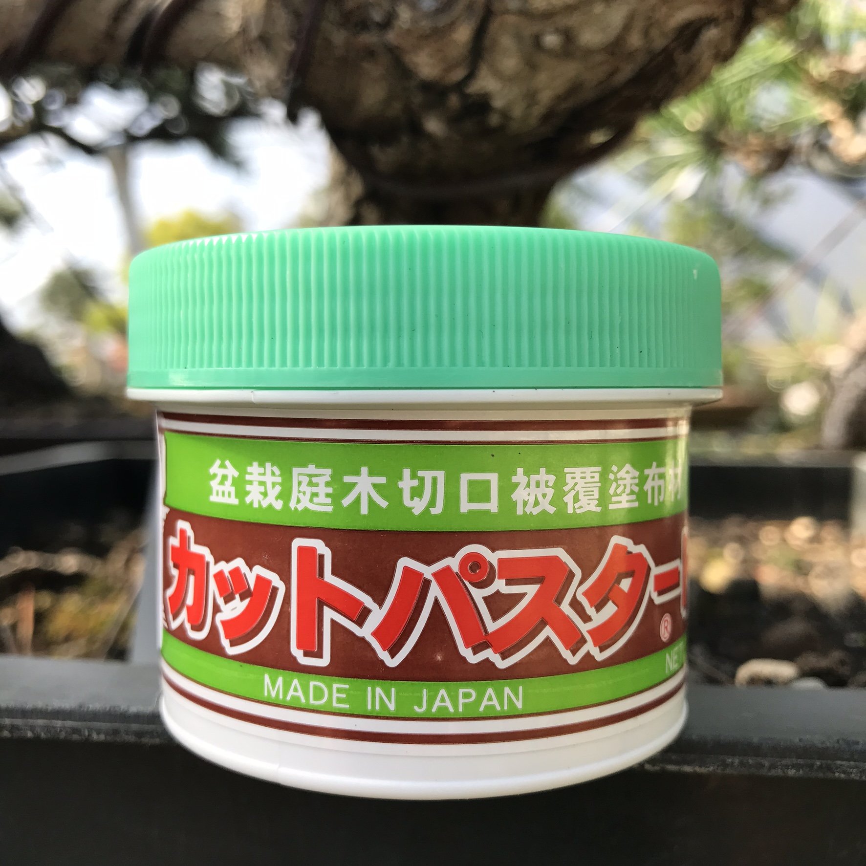Premium Bonsai Cut Paste for Conifers - 160g Japanese Made Pruning Sealer | Tree Wound Sealant for Bark Injuries & Perimeter Cuts | Ideal for Bonsai Care, Gardening & Tree Maintenance