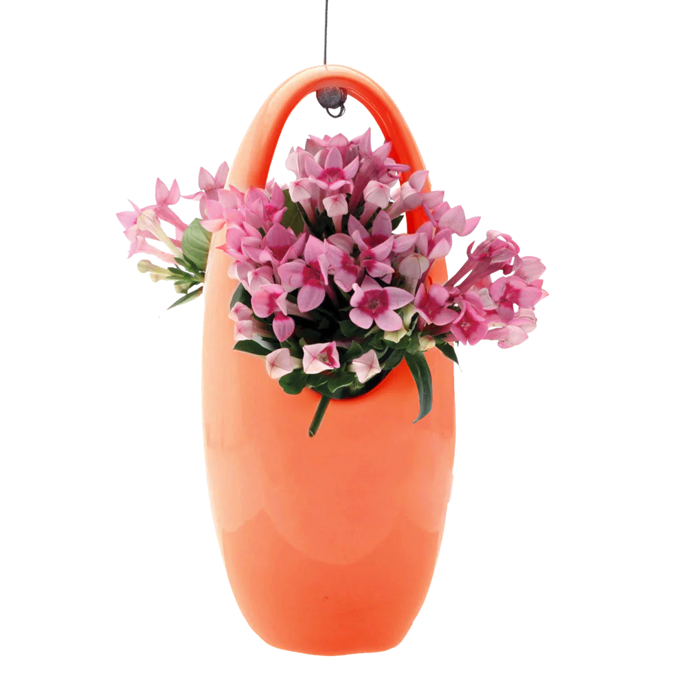 Hanging Ceramic Planter for Succulents & Ikebana - Modern Indoor/Outdoor Air Plant Holder for Home Decor, Office & Garden