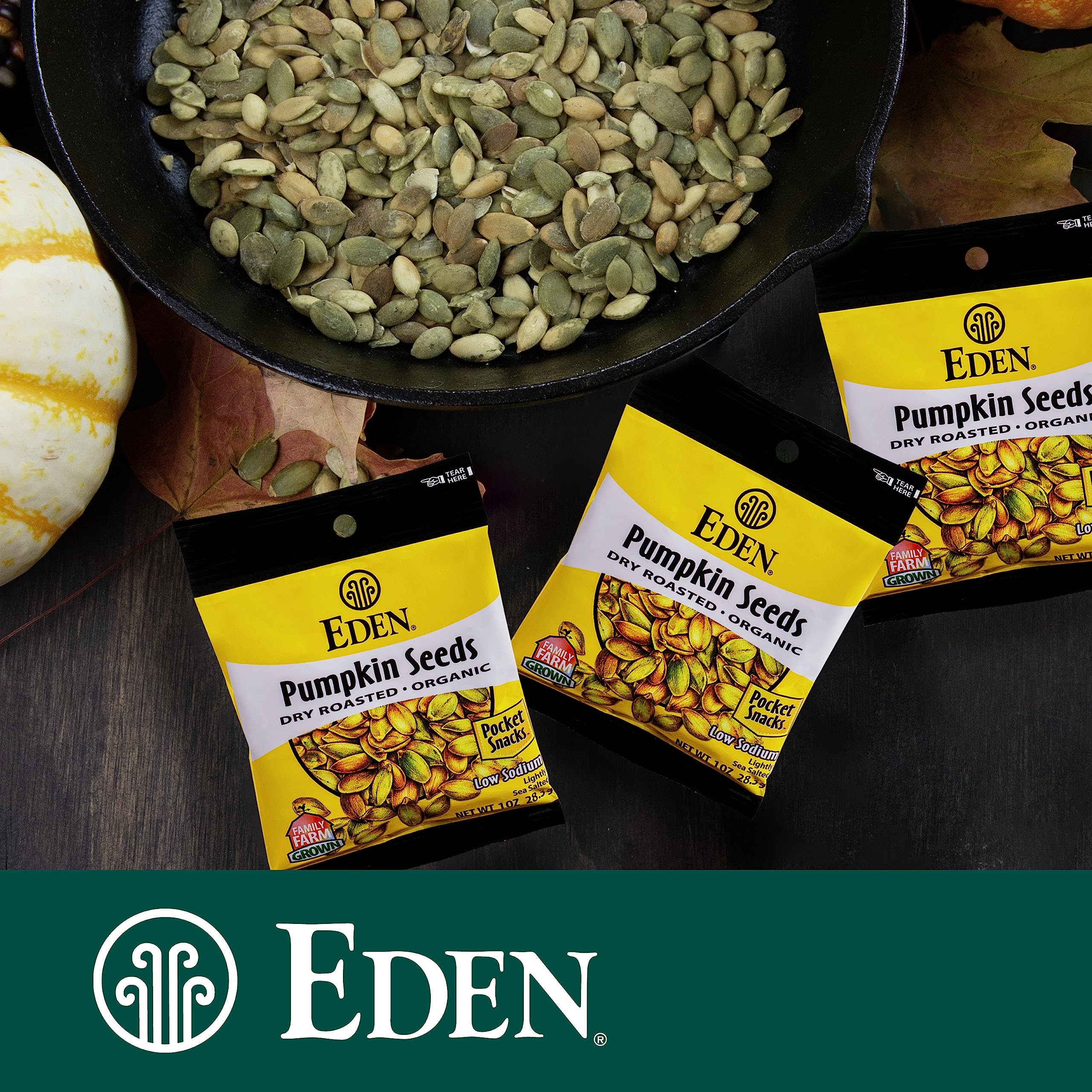 Organic Pumpkin Seeds Snacks - Dry Roasted, Lightly Salted, Hulled Pepitas - 1 oz (24-Pack) - Healthy On-the-Go Snack for Work, Hiking & Road Trips
