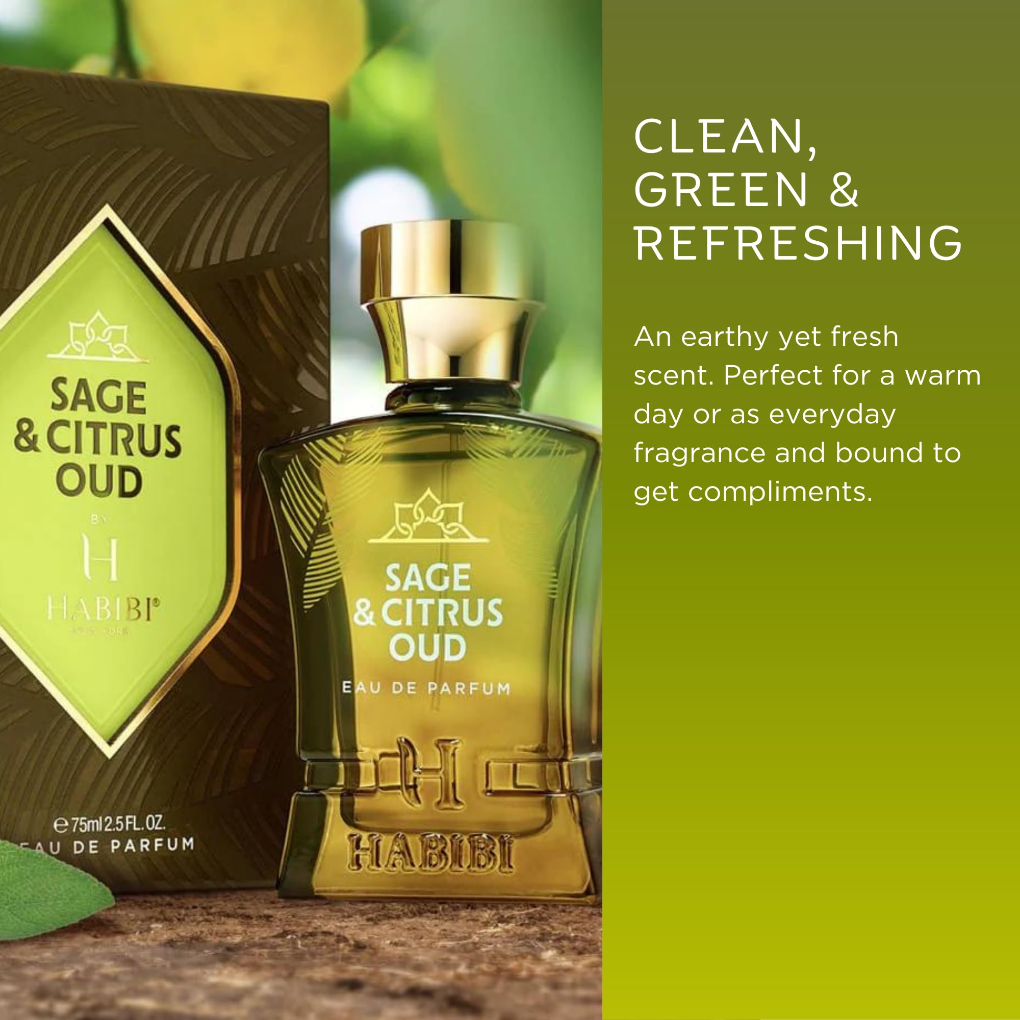 Premium Sage & Citrus Oud Arabian Cologne for Men - Fresh Woody Citrus Perfume with Sage, Oud & Patchouli - Long Lasting Eau de Parfum with Exotic Notes - Perfect for Daily Wear, Office & Special Occasions