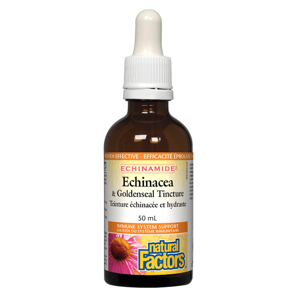 Echinamide Echinacea & Goldenseal Tincture - Herbal Immune Support Supplement for Cold & Flu Relief - Boost Wellness During Seasonal Changes