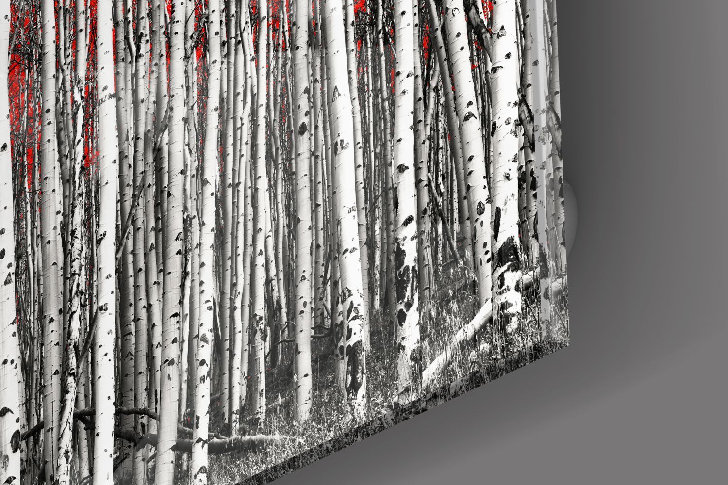 Red Forest - Premium Outdoor Camping Gear & Hiking Equipment for Adventure Enthusiasts | Perfect for Backpacking, Trekking & Wilderness Exploration