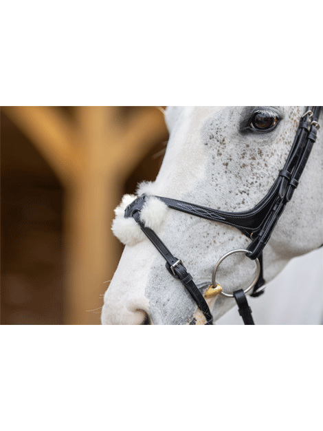 Le Mieux Kudos Grackle Bridle - Premium Horse Riding Bridle for Dressage & Jumping | Comfortable & Durable Equestrian Equipment for Training & Competitions