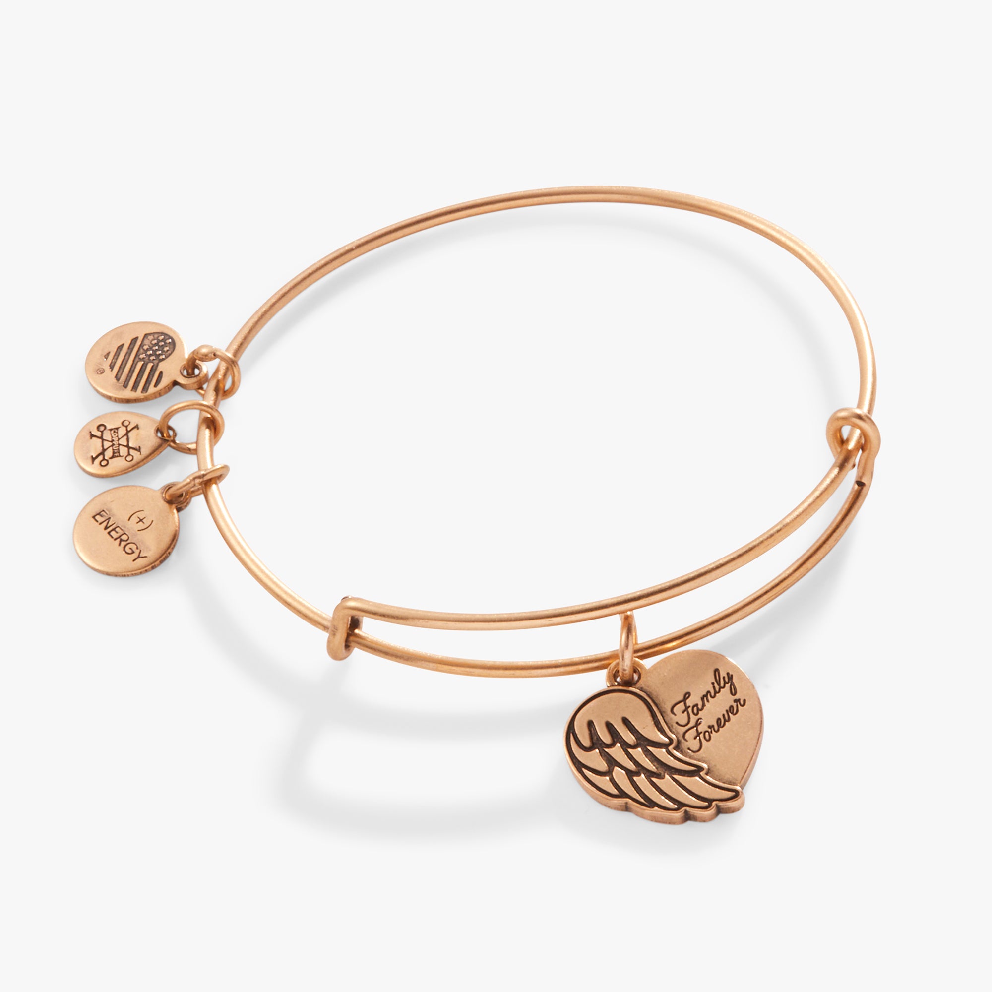Family Forever Angel Wing Heart Charm Bangle - Sterling Silver Adjustable Bracelet for Women, Gift for Mom, Sister, Daughter - Perfect for Anniversaries, Birthdays & Valentine's Day