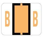 Smead BCCS Alphabetic Labels - Light Orange for Office Filing