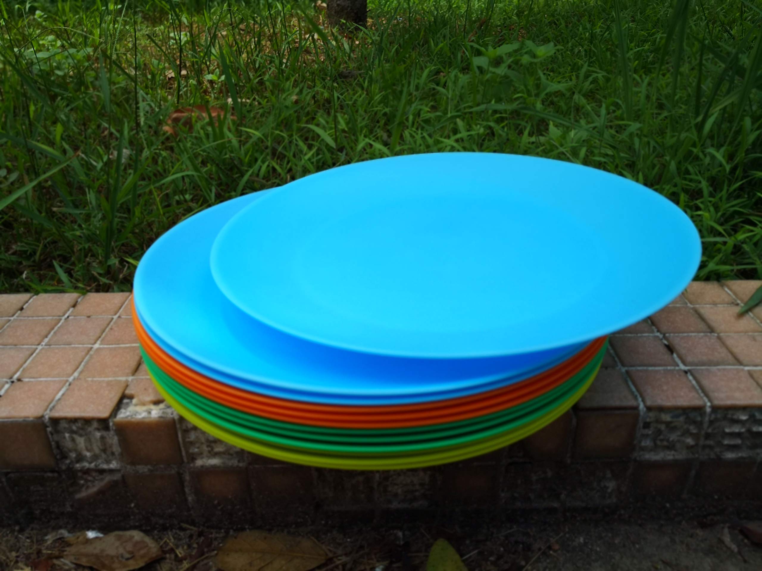 AOYITE 12-Pack Reusable Plastic Plates - BPA Free, Dishwasher & Microwave Safe Dinnerware for BBQ, Picnic, Travel, Party & Outdoor Events - Colorful Durable Plates for Everyday Use & Special Occasions