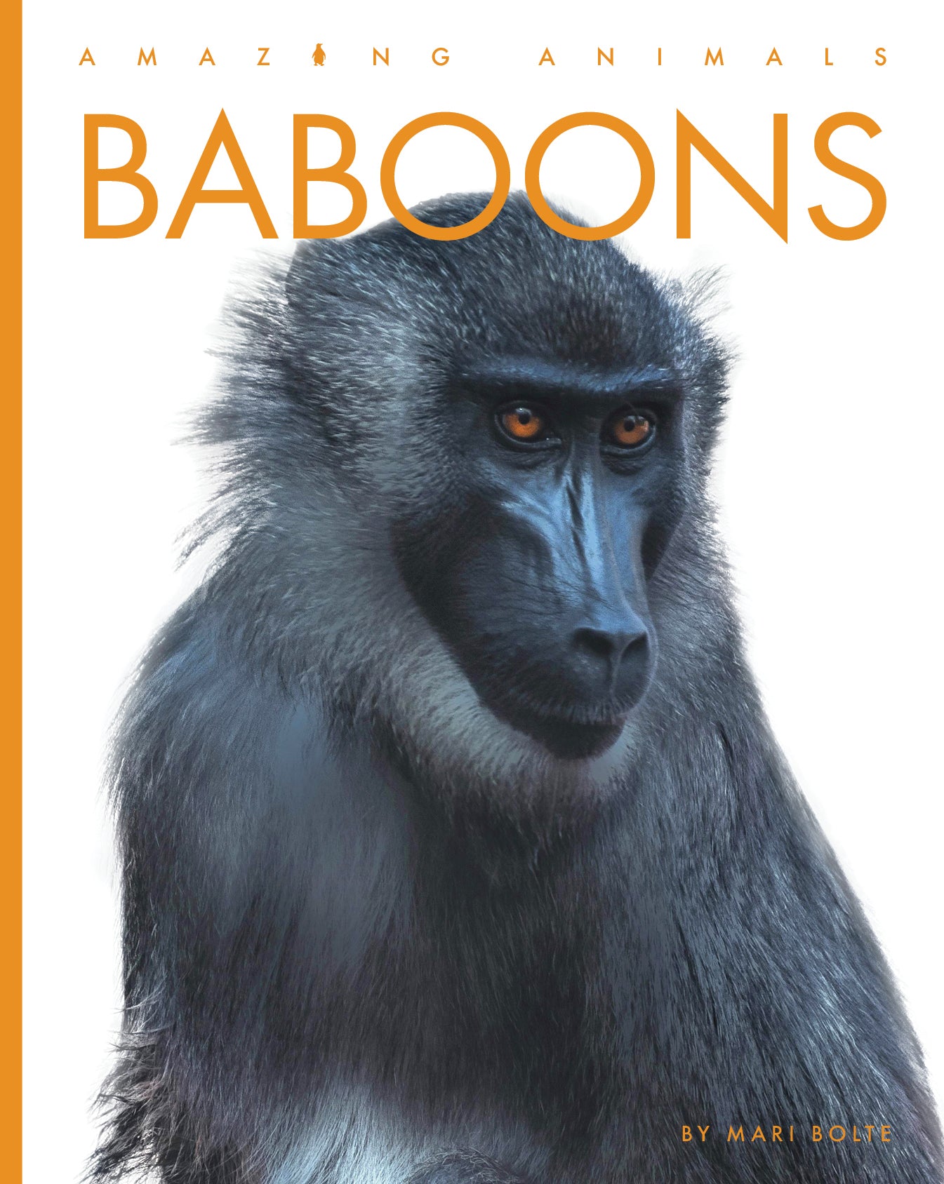 Amazing Baboons: Fascinating Facts and Behaviors of These Intelligent Animals (2025) - Perfect for Wildlife Enthusiasts & Educational Use