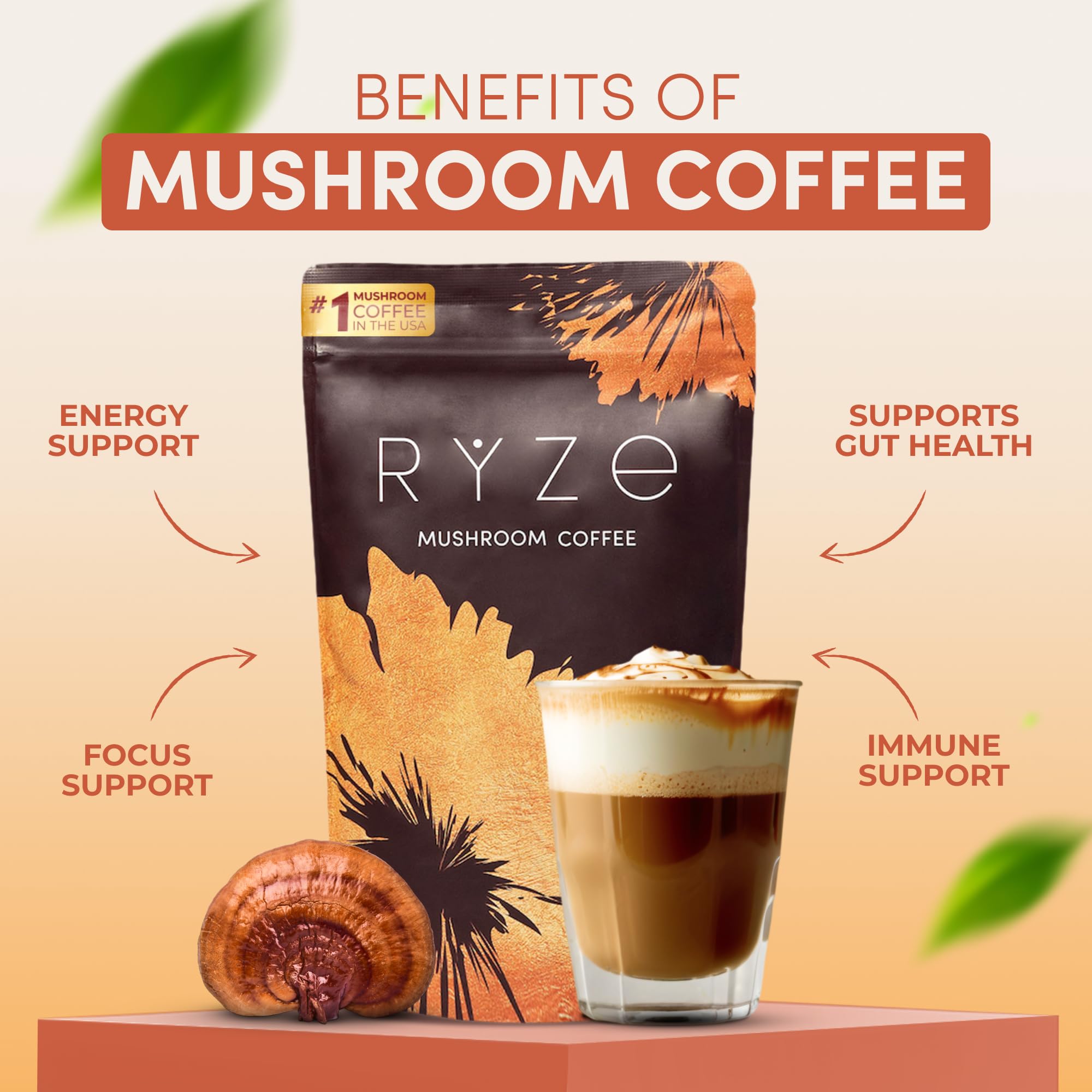 RYZE Ultimate Energy Bundle - USDA Organic Mushroom Coffee & Mushroom Matcha with Probiotic Creamer | 6 USA-Grown Adaptogenic Mushrooms for Energy Boost, Mental Focus, Gut Health & Immune Support (90 Servings) | Perfect for Morning Routine, Workout Recovery & Stress Relief