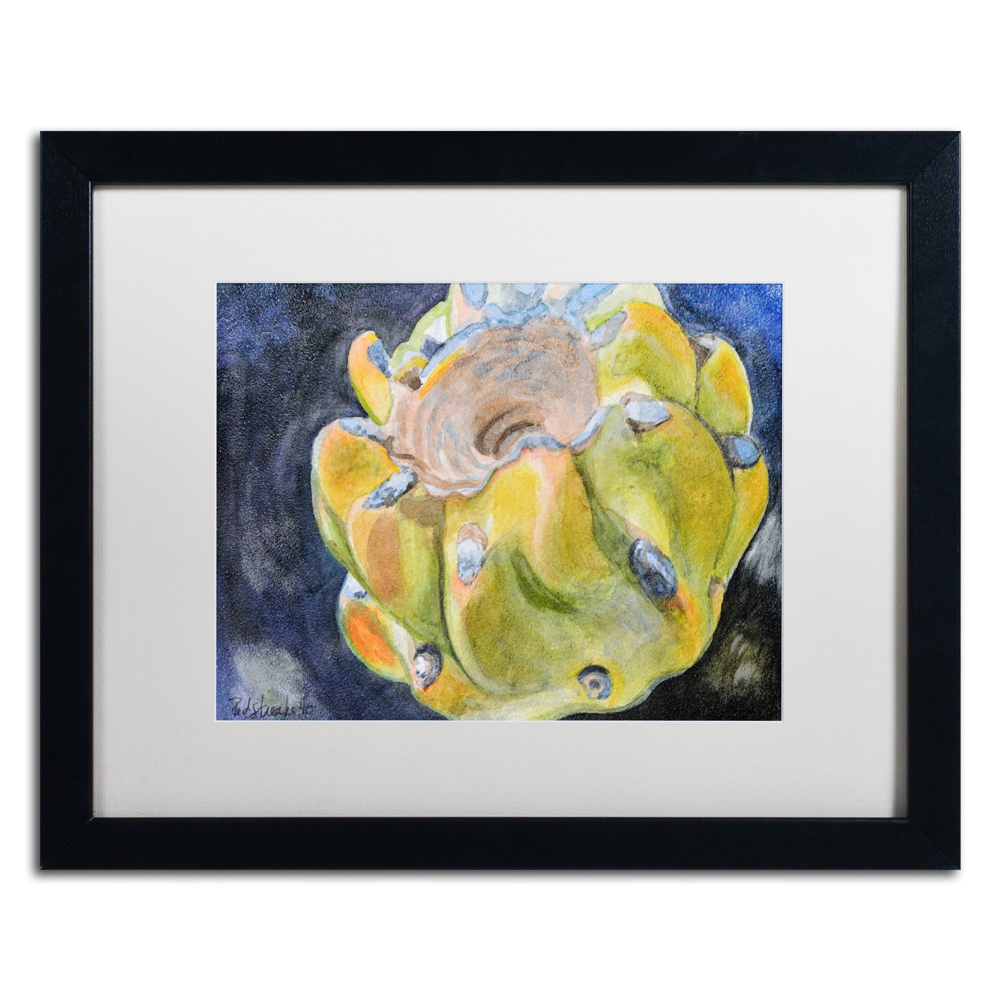 Jennifer Redstreake Cactus Fruit Art Print - 16x20 Inch White Matte with Black Frame - Perfect for Home, Office & Desert-Themed Decor