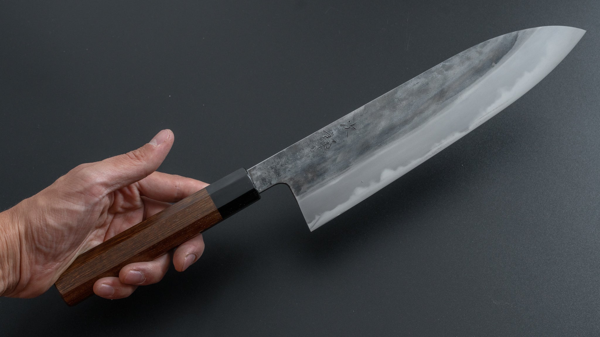 Premium Jiro Tsuchime Wa Gyuto 240mm Japanese Chef Knife with Taihei Tagayasan Handle - Perfect for Sushi, Meat Slicing & Professional Kitchen Use