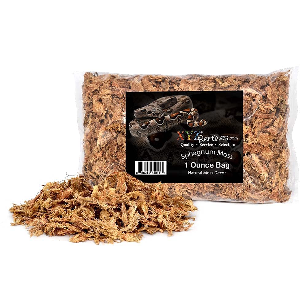 10 Gallon Boa Constrictor Terrarium Kit - Complete Snake Habitat Setup for Pet Boas - Perfect for Reptile Enclosures in Home or Classroom