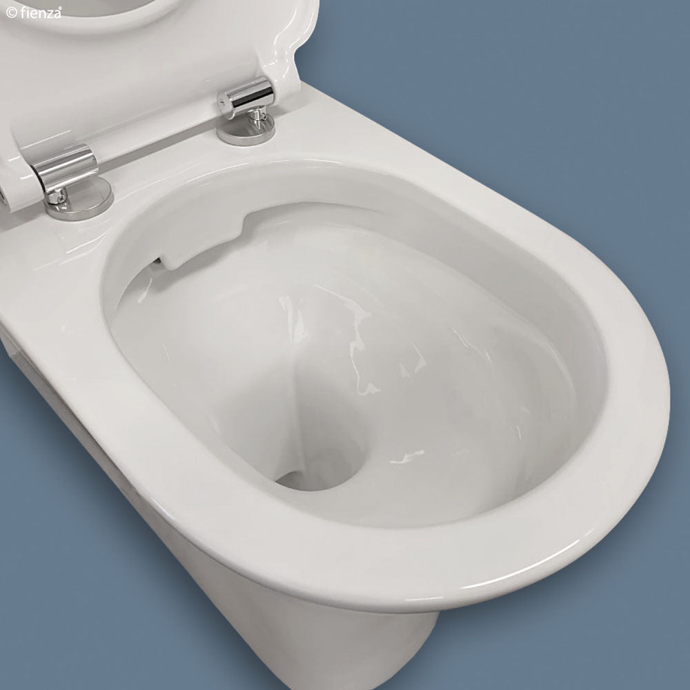 Fienza Delta Care Back to Wall Toilet Suite with Raised Buttons - Modern Bathroom Solution for Space-Saving Design and Easy Cleaning