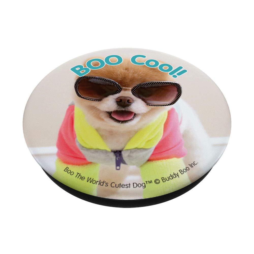 Boo The World's Cutest Dog - Adorable Car Phone Holder Knob for Dashboard | Perfect for Safe Driving & Hands-Free Navigation (Model 6865)