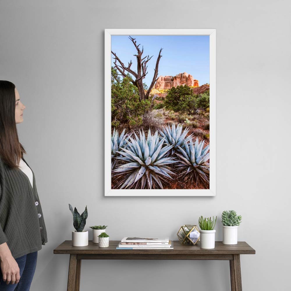 Agave Plants Sedona Arizona White Framed Art Print - Desert Landscape Wall Decor for Home & Office - Perfect for Southwestern Style Interior Design
