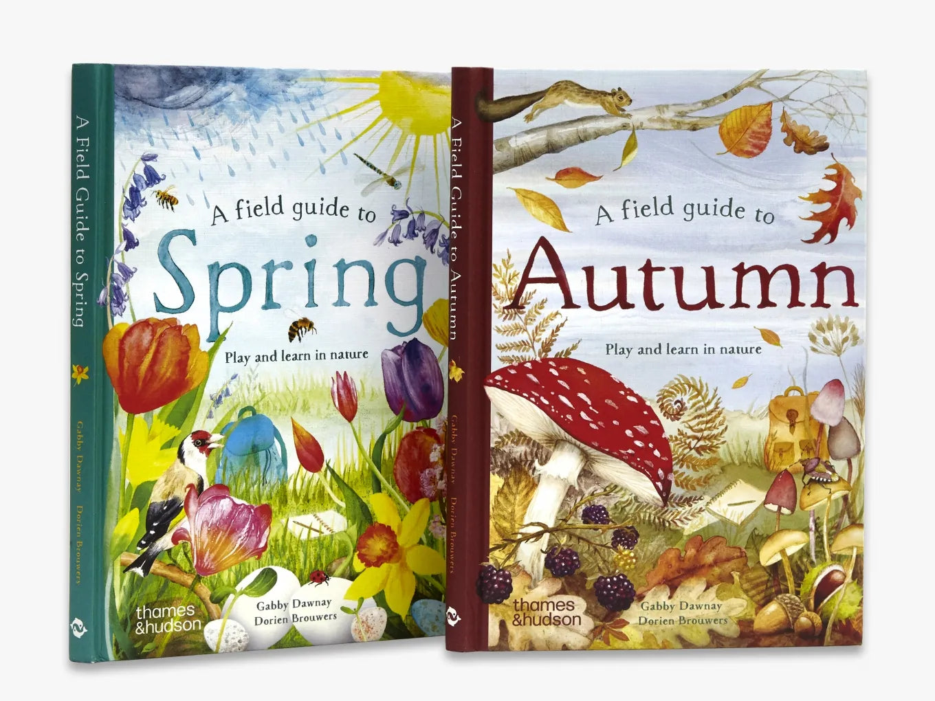 A Field Guide to Autumn - Nature Exploration Book for Fall Hiking & Outdoor Activities | Field Guide Series