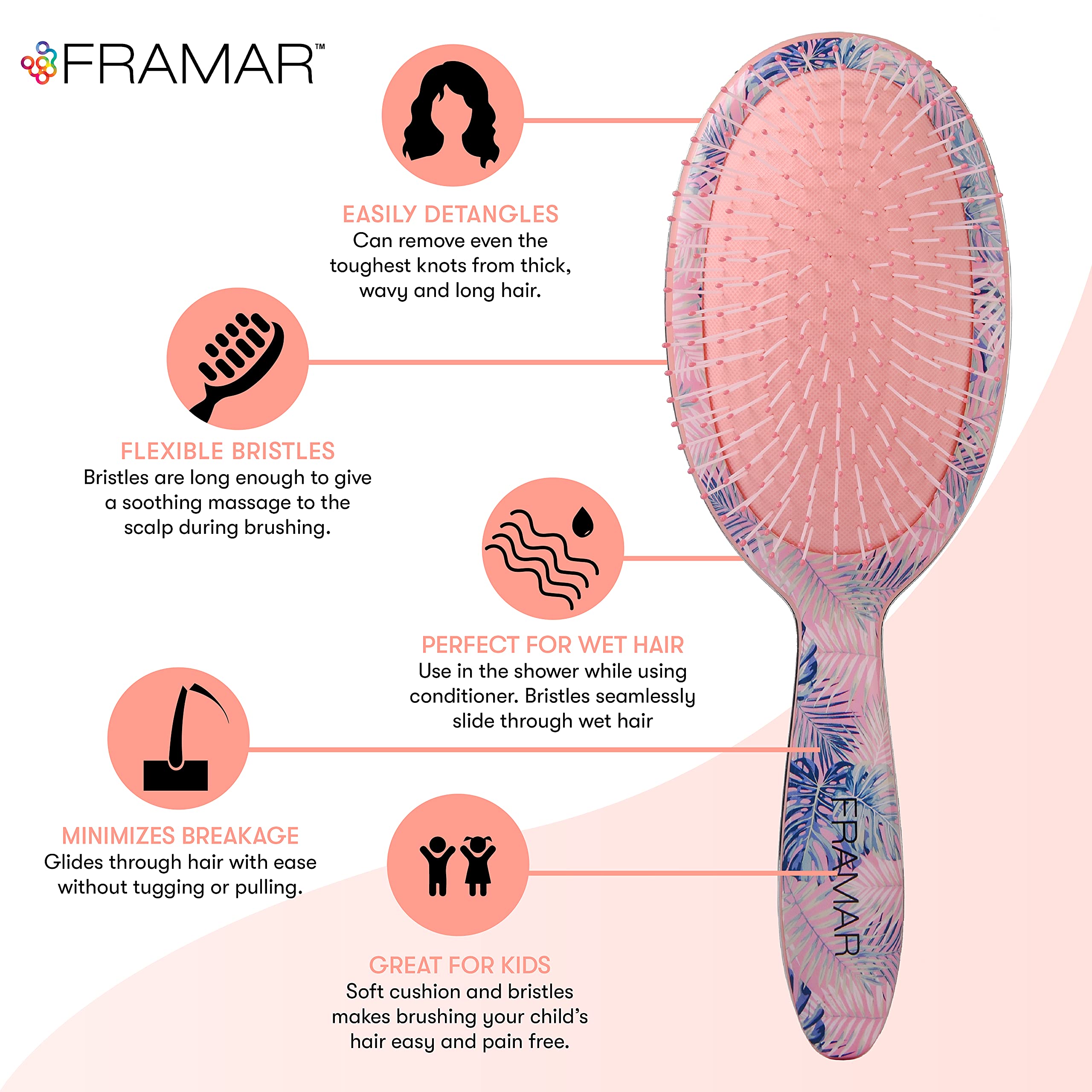 Framar Flowers Wet Detangler Brush for Women & Kids - Detangling Hair Brush for Wet or Dry Hair, Curly Hair Brush, Tangle-Free Hairbrush - Perfect for Shower, Salon & Daily Hair Care