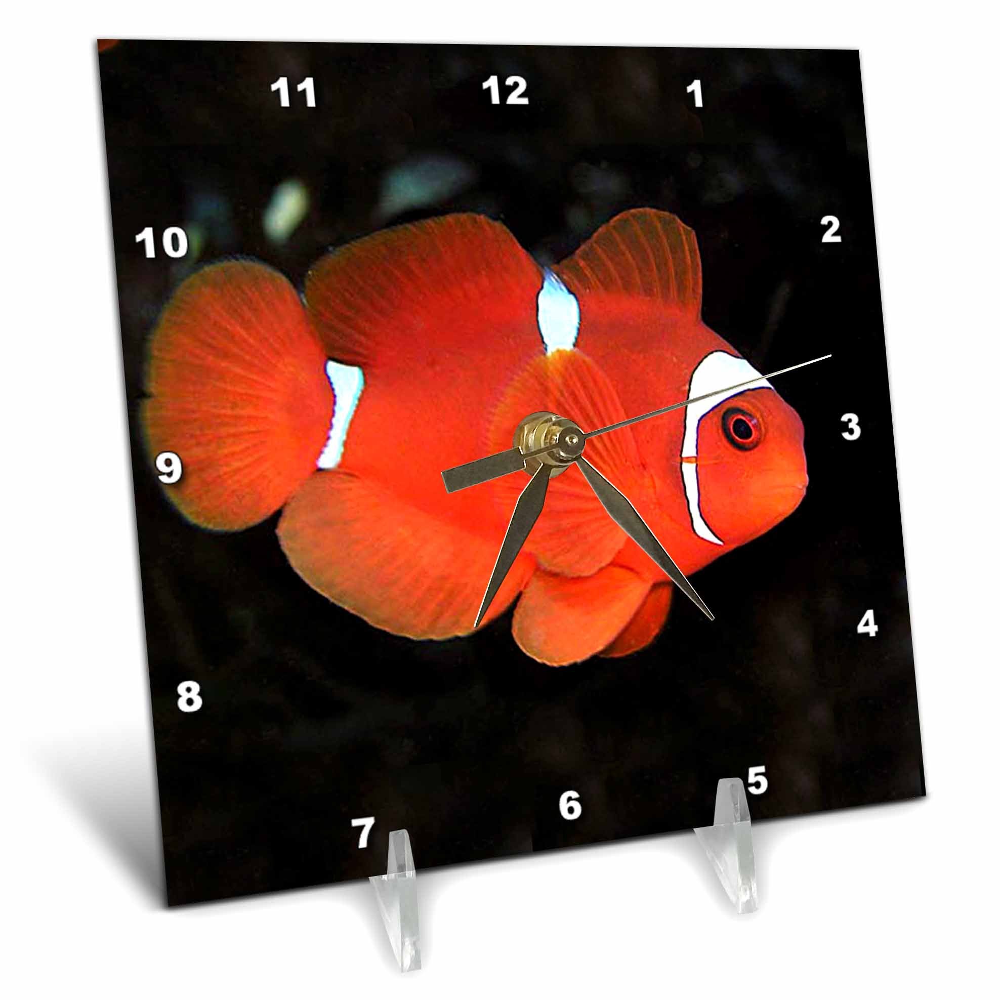 3dRose LLC Clownfish Desk Clock - 6x6 Inch Stylish Office Decor | Perfect for Home, Office & Gift Giving