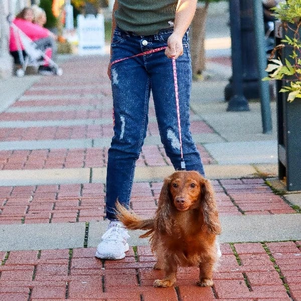 Li'l Pals Dog Leash with E Z Snap - Durable & Adjustable Pet Leash for Small to Medium Dogs - Perfect for Walking, Training & Outdoor Adventures