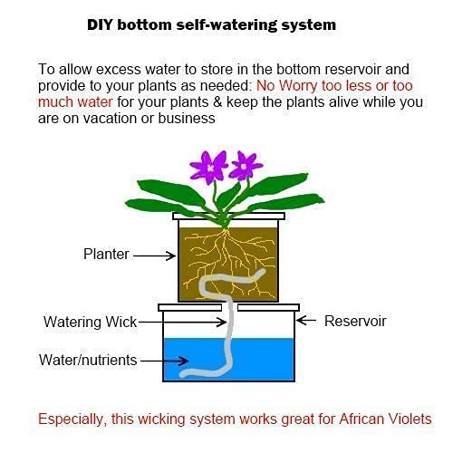 ORIMERC 30 Feet Self Watering Wick Cord with 500ML Bottle - Automatic Plant Watering System for Vacation, Potted Plants, Bonsai, Terrarium, Orchids, Seedling & African Violets - Perfect for Indoor Gardening & Succulent Care