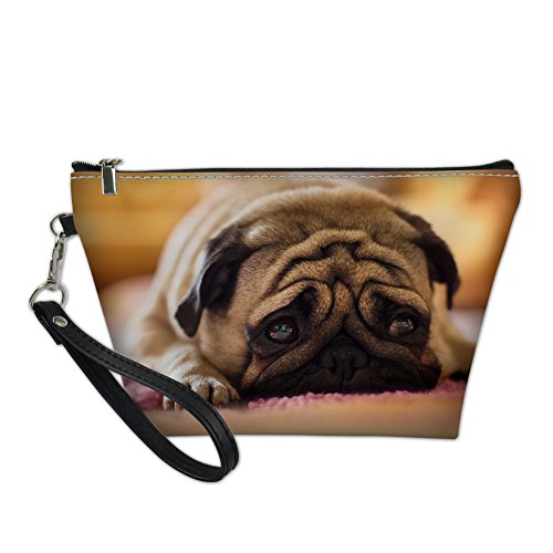 Pug Dog 3