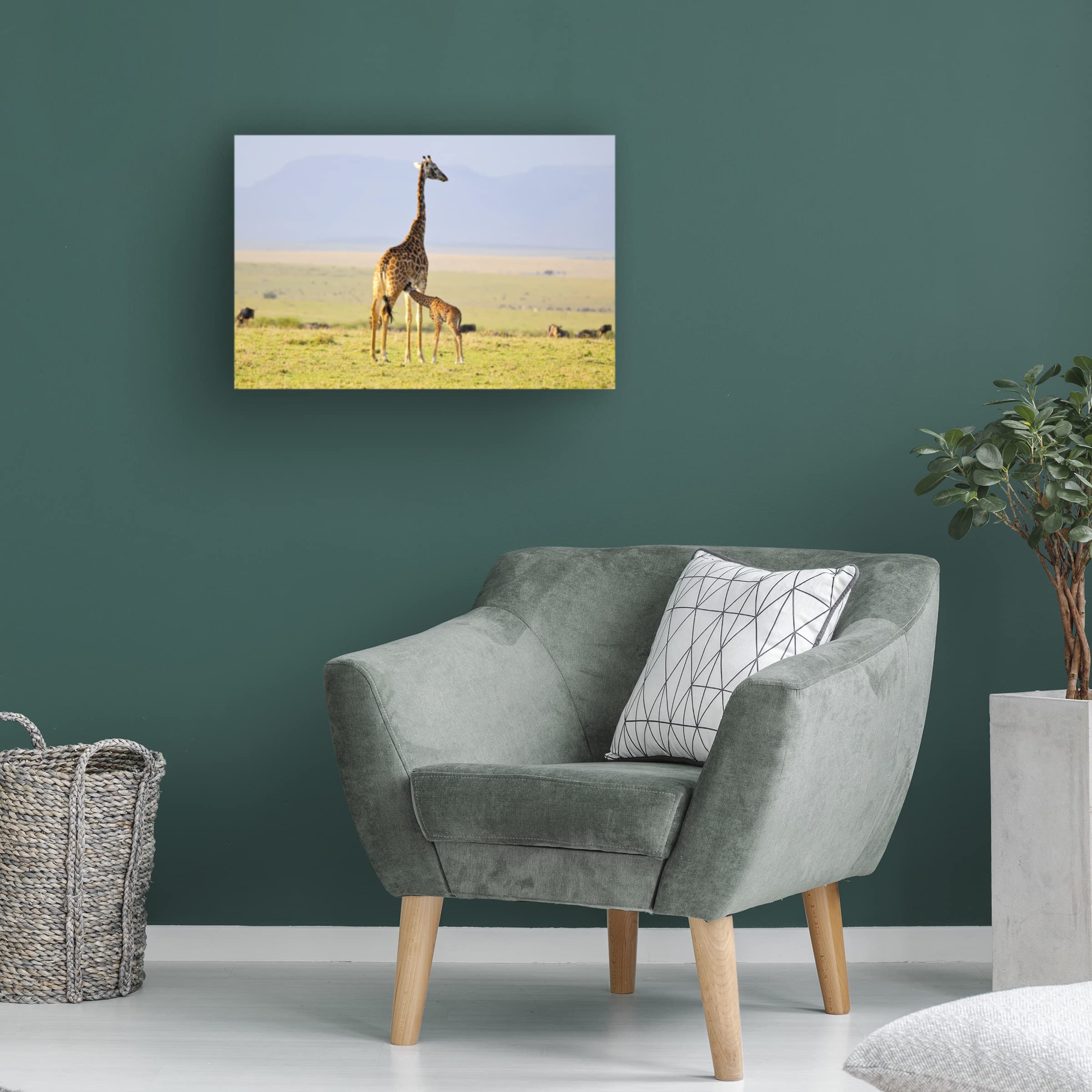 Trademark Fine Art 'Early Morning Milk' Canvas Print by Zw Young - Stunning Farmhouse Decor for Living Room, Bedroom & Office