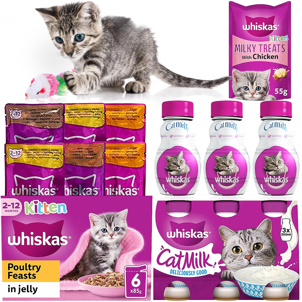Premium Kitten Milk & Food Pouches Bulk Bundle for 2-12 Month Old Kittens - 6x85g Poultry Feast in Gravy, 3x200ml Kitten Milk Bottles, 55g Milky Treats & Koala Pet Toy - Ideal for Weaning, Feeding & Playtime